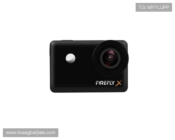 云顶集团3118官方网站的安全保障措施与用户隐私保护策略详解 云顶集团3118官方网站的安全保障措施与用户隐私保护策略详解