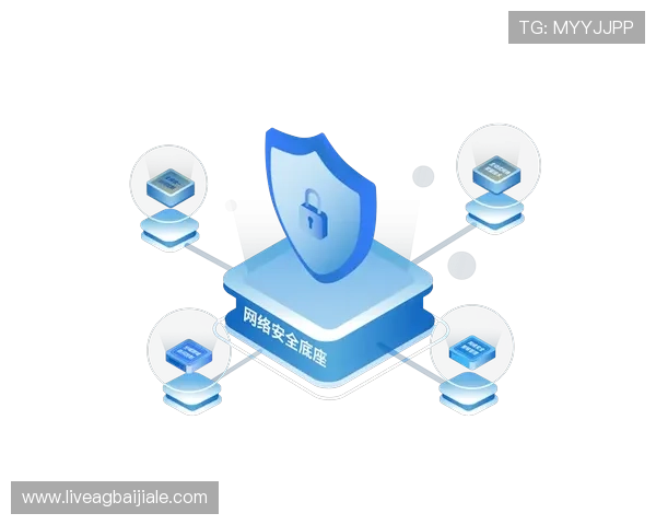 多宝真人网页版登录安全保障措施详解确保玩家账号信息安全与防止非法入侵